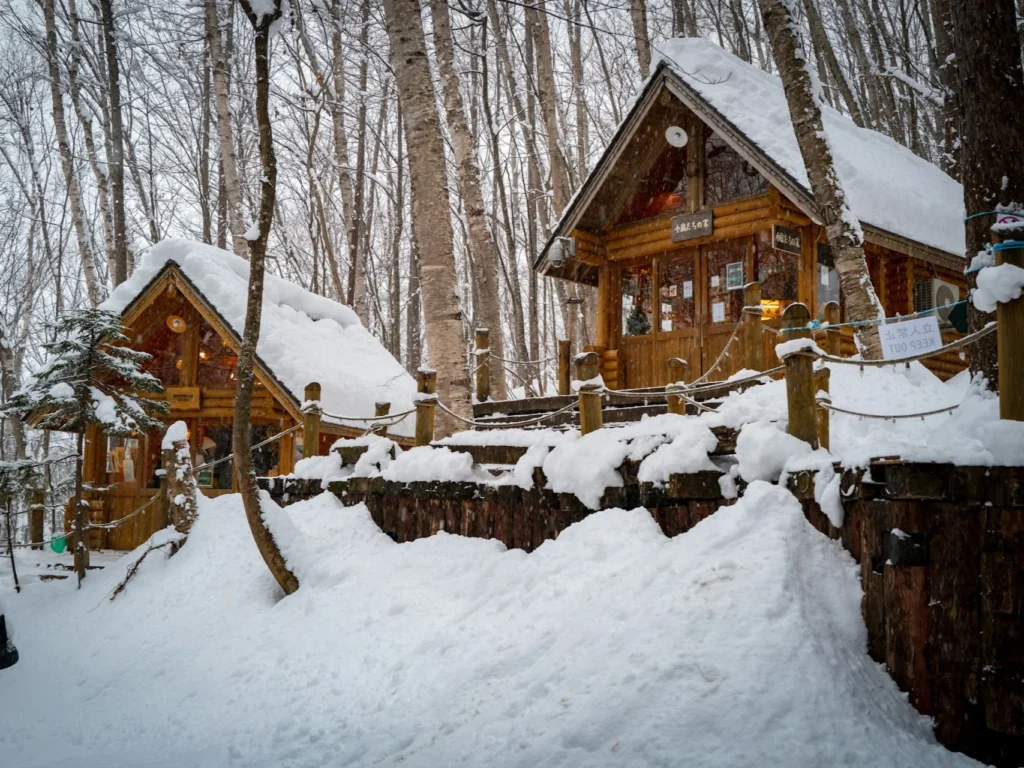 冬季運動-滑雪-北海道富良野