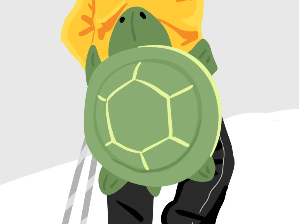 冬季運動-滑雪-烏龜護臀墊