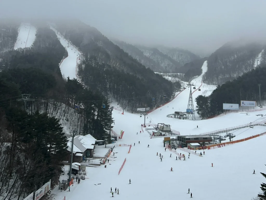 冬季運動-滑雪-韓國龍平滑雪場