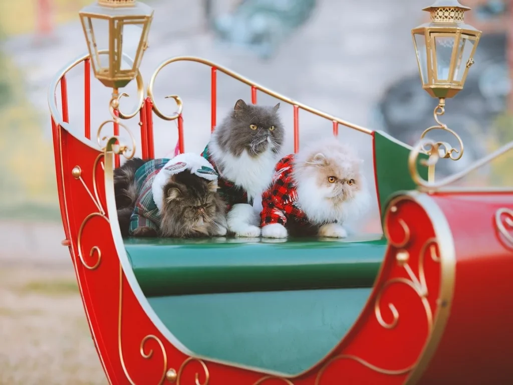 冬季運動-雪橇-大雪橇