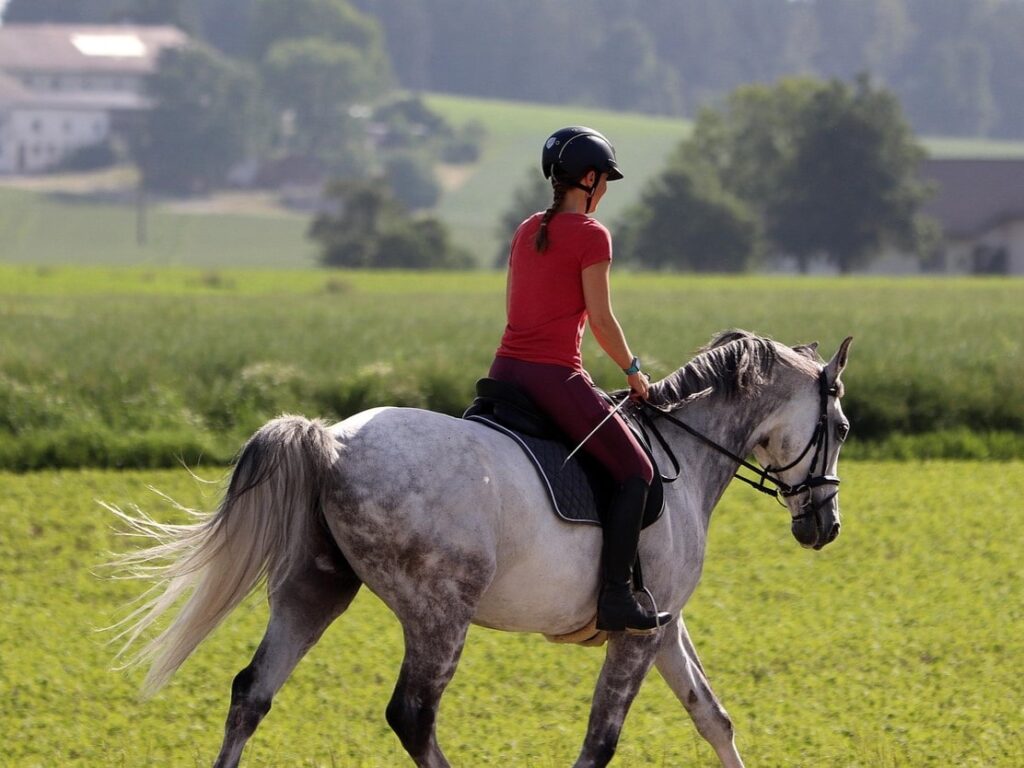 戶外運動首頁-野外運動-騎馬