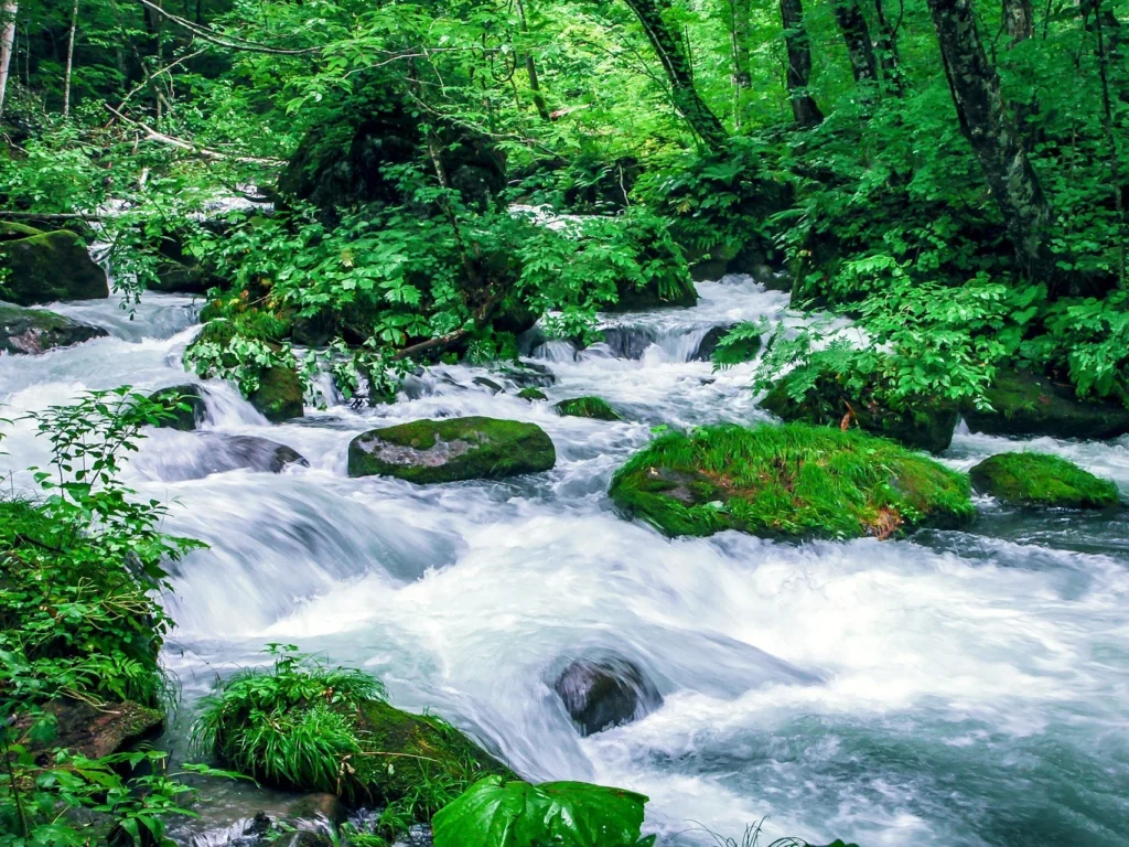 探險運動-溯溪-奧入瀨溪