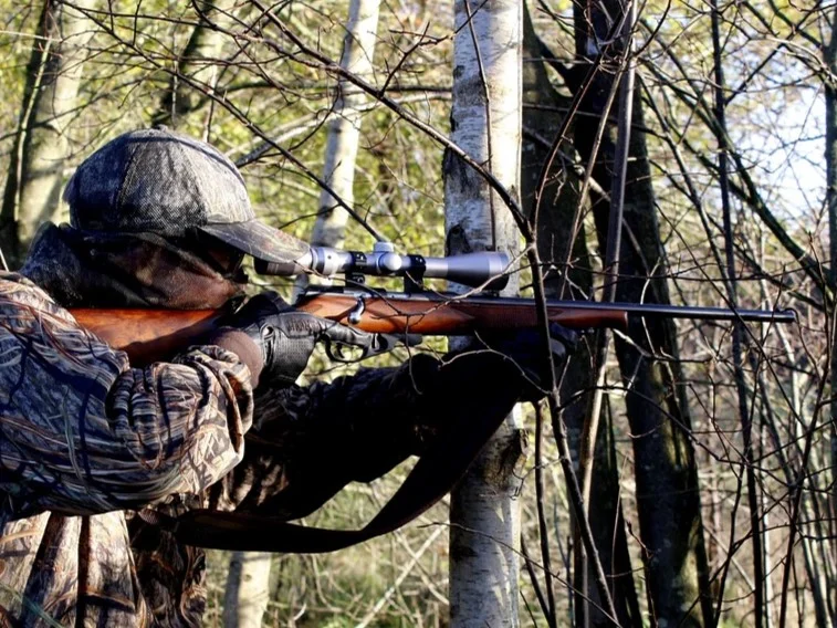 野外運動-射擊-步槍