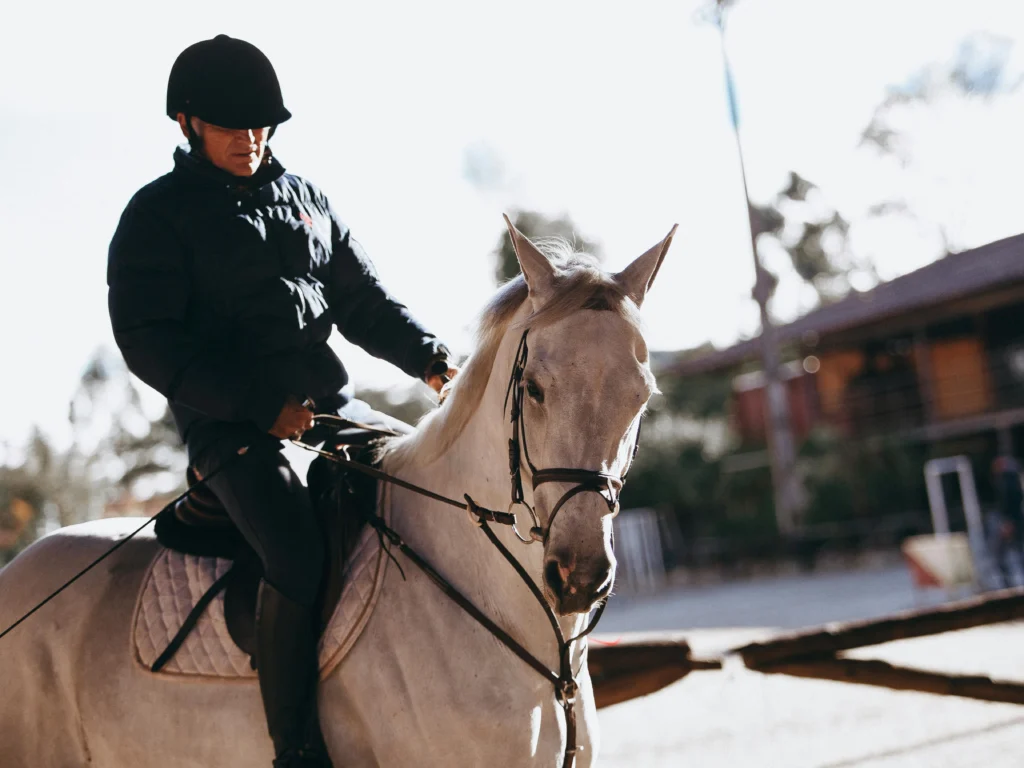 野外運動-騎馬-主題