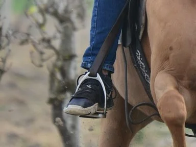 野外運動-騎馬-腳蹬