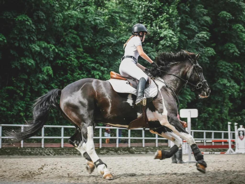 戶外運動課程活動圖-騎馬1